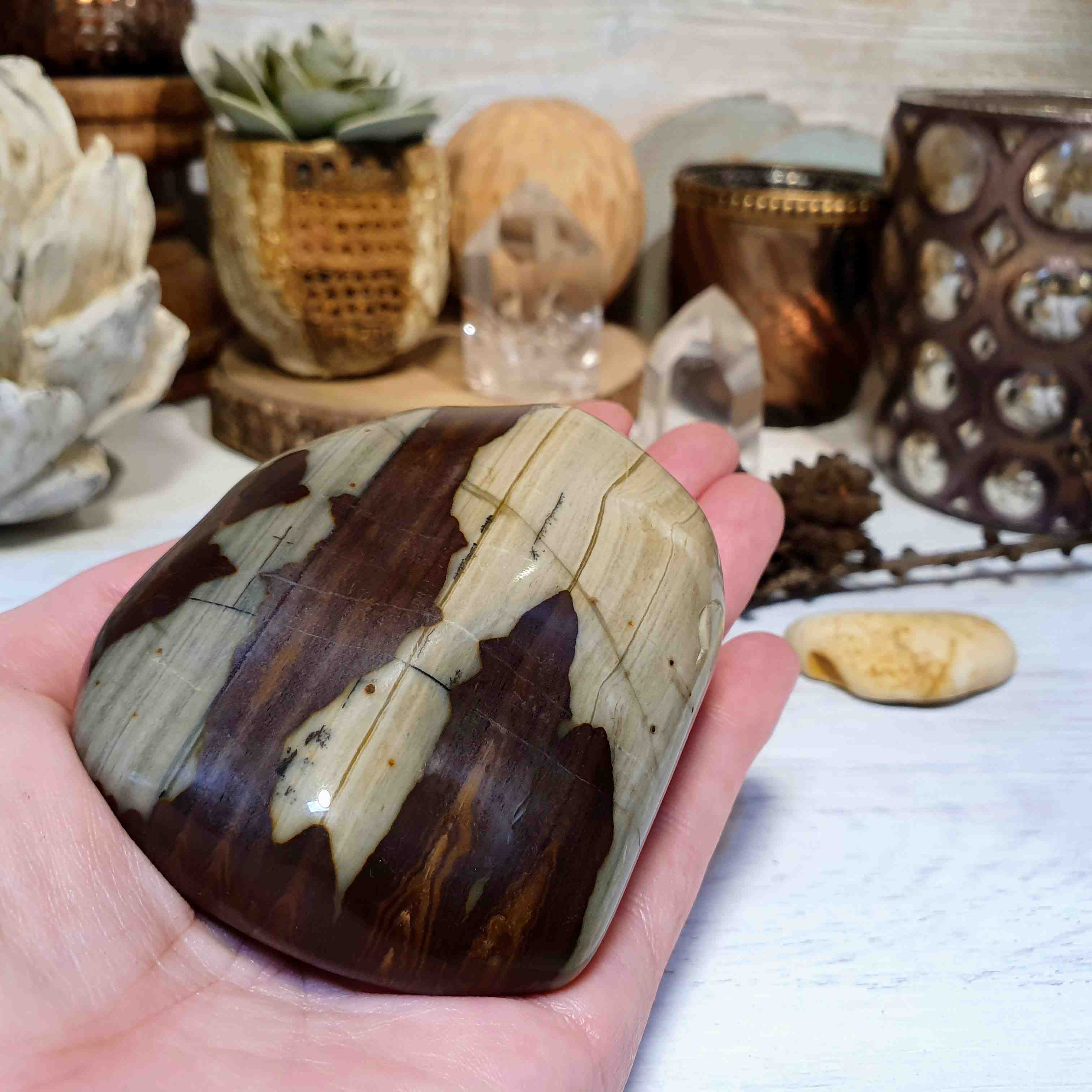 Jaspis cappuccino - velký tromlovaný kámen z Madagaskaru F. 348 g 