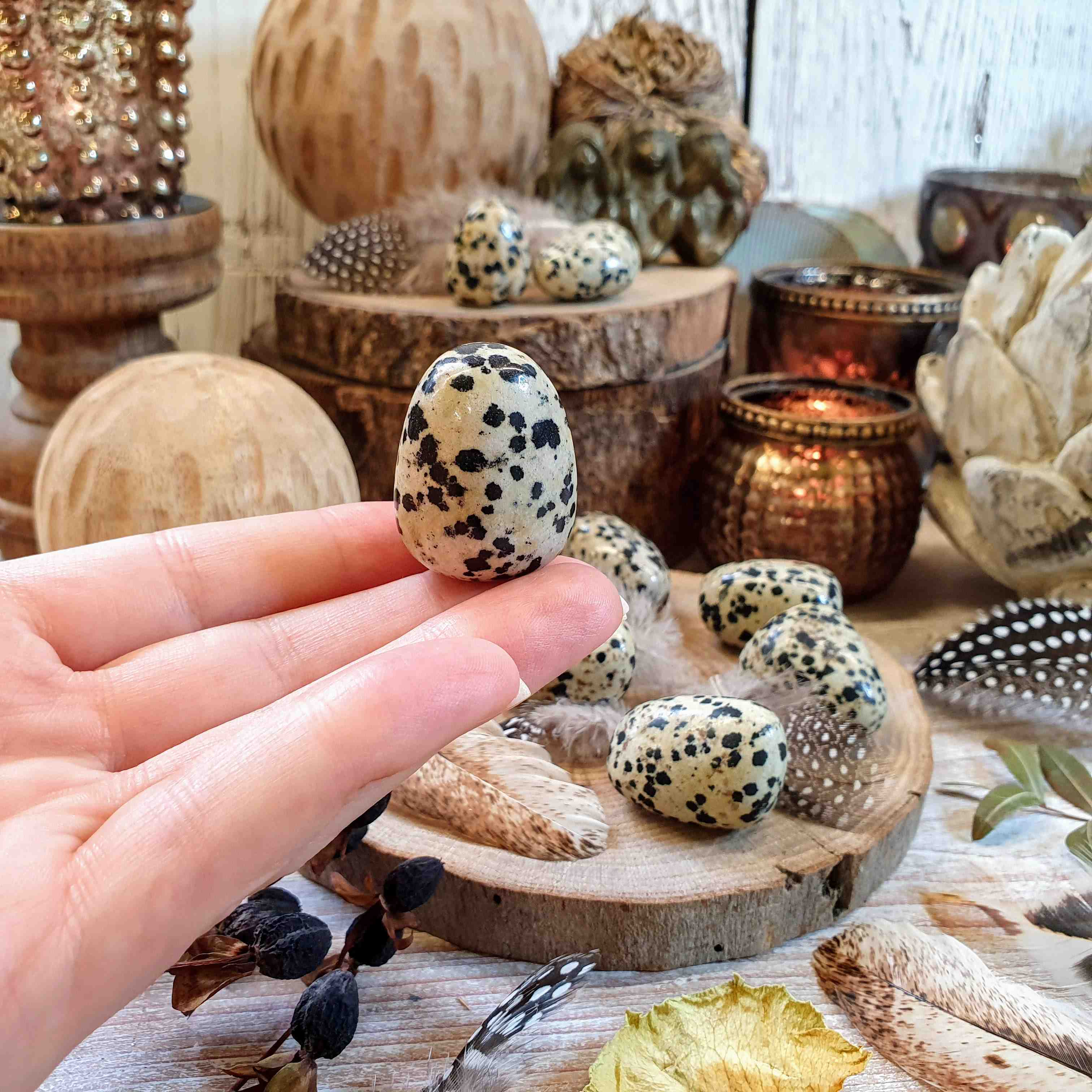 Jaspis dalmatin - ručně tromlovaný valounek - ptačí vajíčko z Mexika 24 - 27 g 