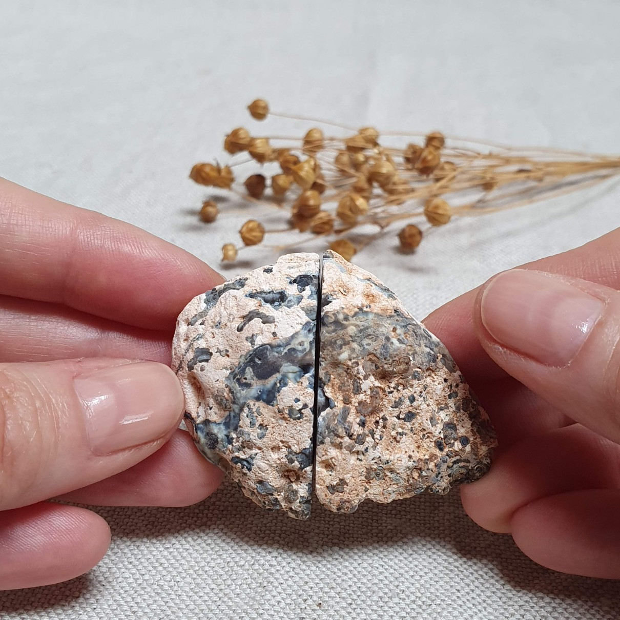 Peříčkový achát - obě poloviny leštěné geody v top kvalitě z Brazílie B. 46 g 