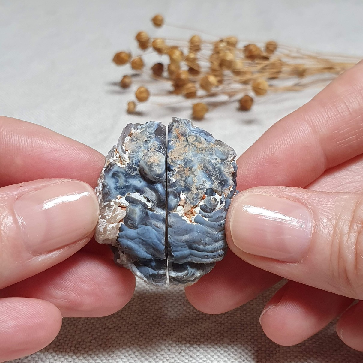 Peříčkový achát - obě poloviny leštěné geody v top kvalitě z Brazílie E. 26 g 