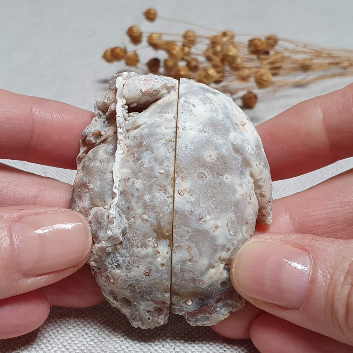 Peříčkový achát - obě poloviny leštěné geody v top kvalitě z Brazílie H. 85 g 