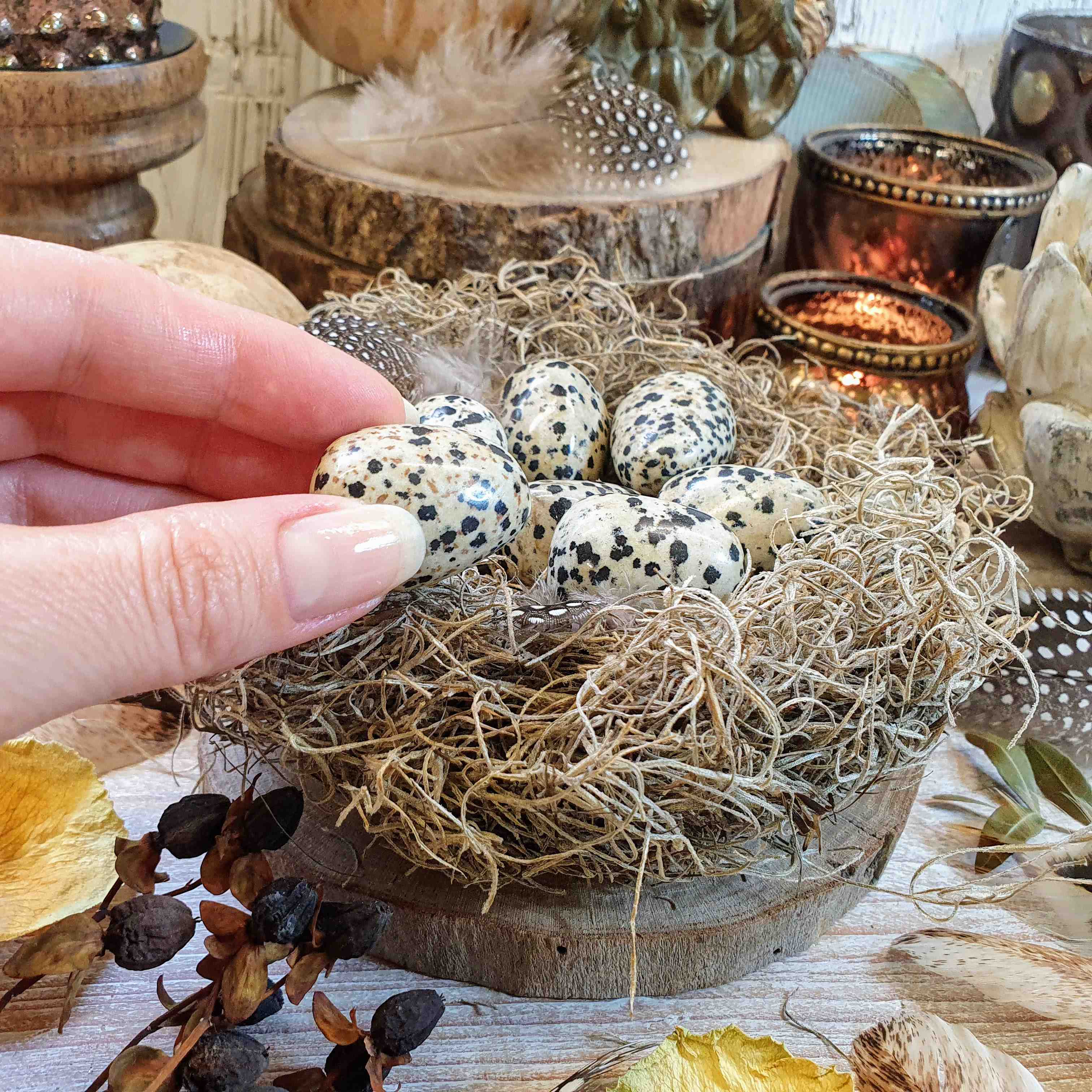 Jaspis dalmatin - ručně tromlovaný valounek - ptačí vajíčko z Mexika 24 - 27 g 