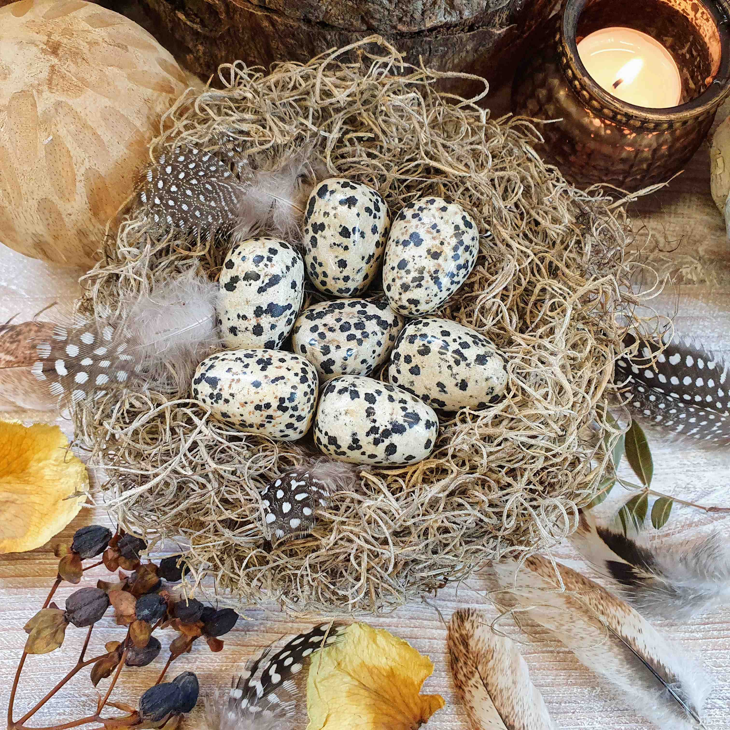 Jaspis dalmatin - ručně tromlovaný valounek - ptačí vajíčko z Mexika 24 - 27 g 