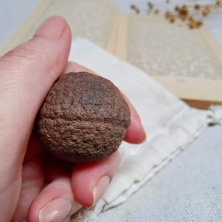 Moqui Marble ~ 1 kus/muž ~ unikátní přírodní konkrece z Utahu H. 62 g
